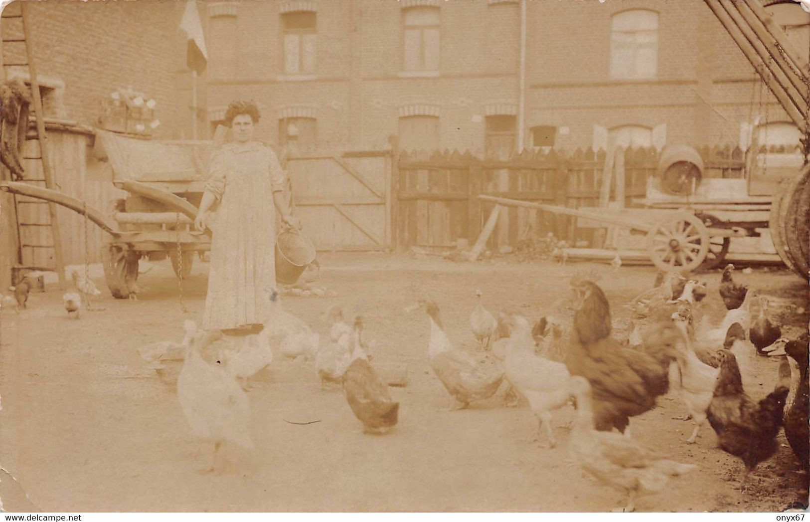 Carte Postale Photo DENAIN Près Douchy-les-Mines-Elevage Poule-Canard-Photo Lambert, 132 Rue De Villars, Denain-RARE - Denain