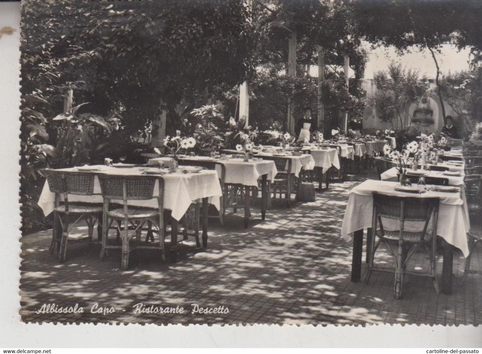 ALBISSOLA  CAPO SAVONA RISTORANTE PESCETTO  VG 1958 - Savona