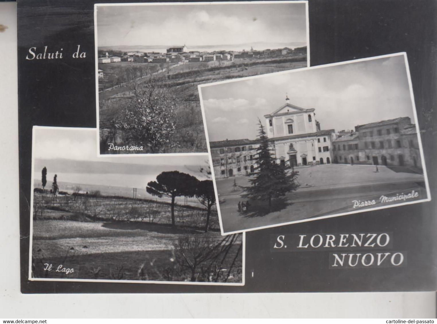 S. LORENZO NUOVO VITERBO SALUTI VEDUTE  VG  1958 - Viterbo
