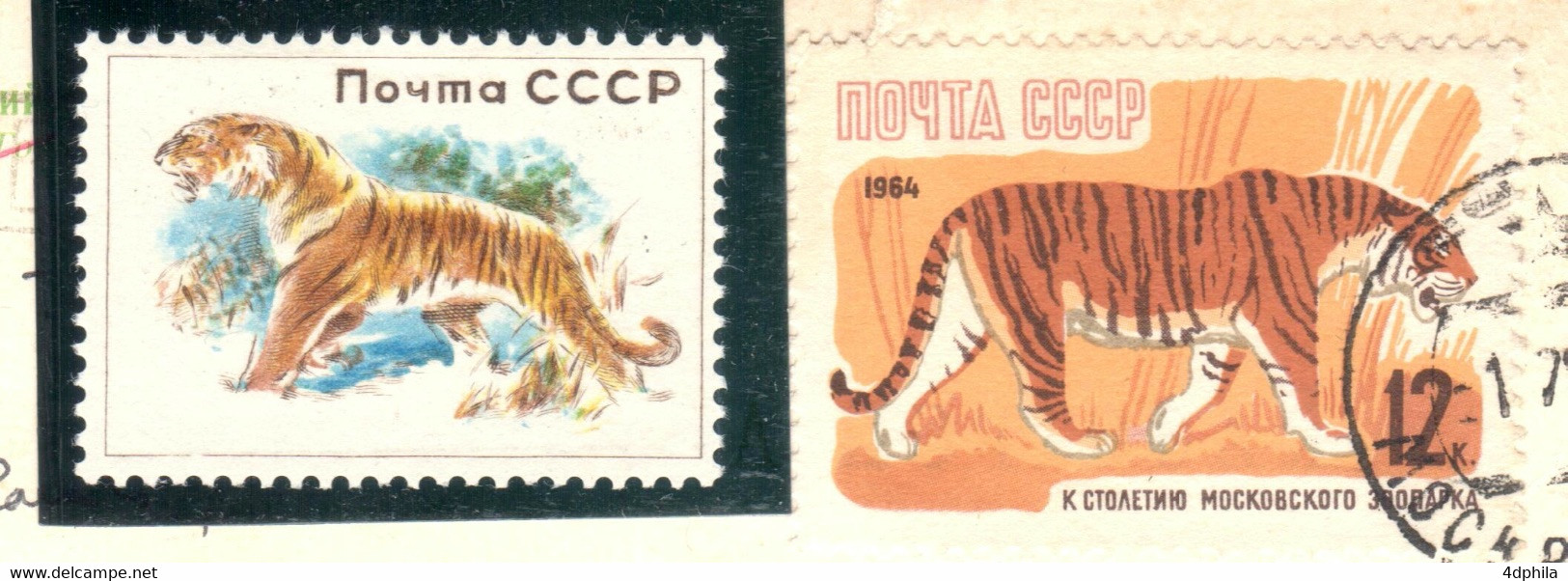 RUSSIA (USSR) 1960 Tiger - Dummy Stamp And Stamp On Card Of 1964 - Specimen Essay Proof Trial Prueba Probedruck Test - Probe- Und Nachdrucke