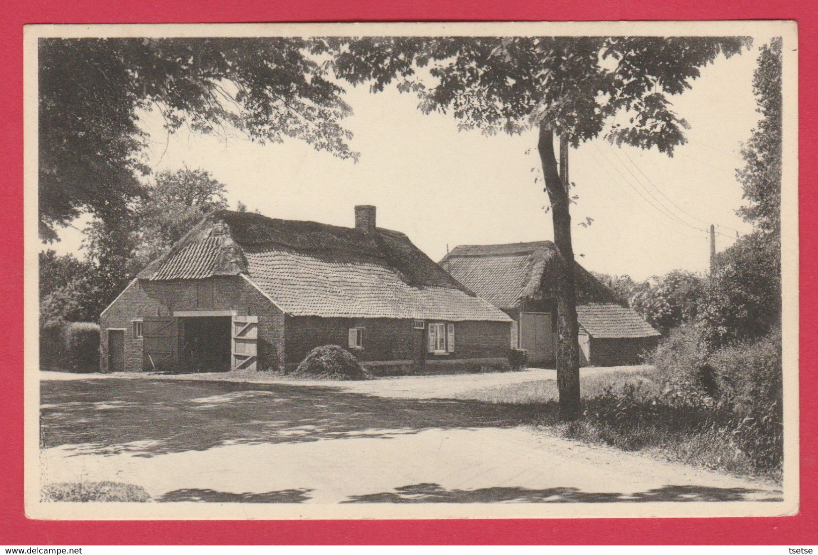 Kasterlee - Oude Hoeve Terio ( Verso Zien ) - Kasterlee