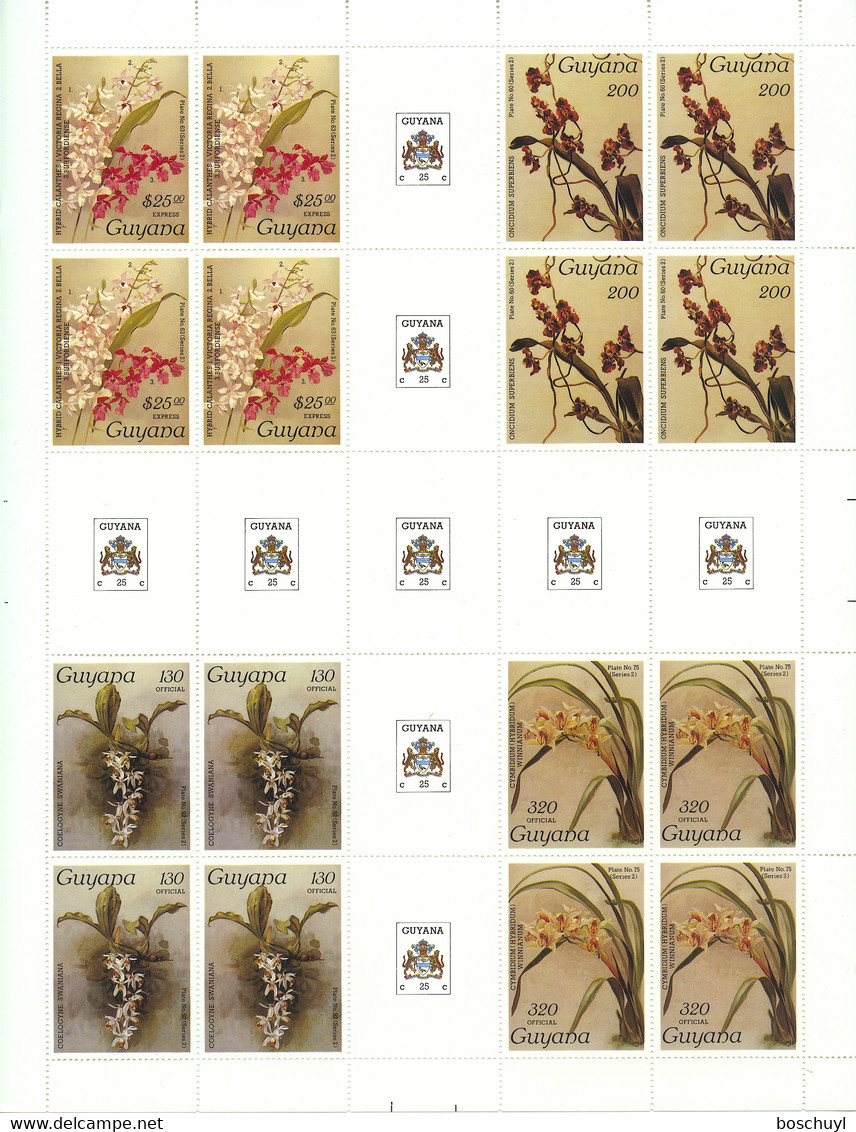 Guyana, 1987, 1988, Orchids, MNH Full Gutter Sheet, Michel 1969, 1968, 1947, 2352 - Guyana (1966-...)