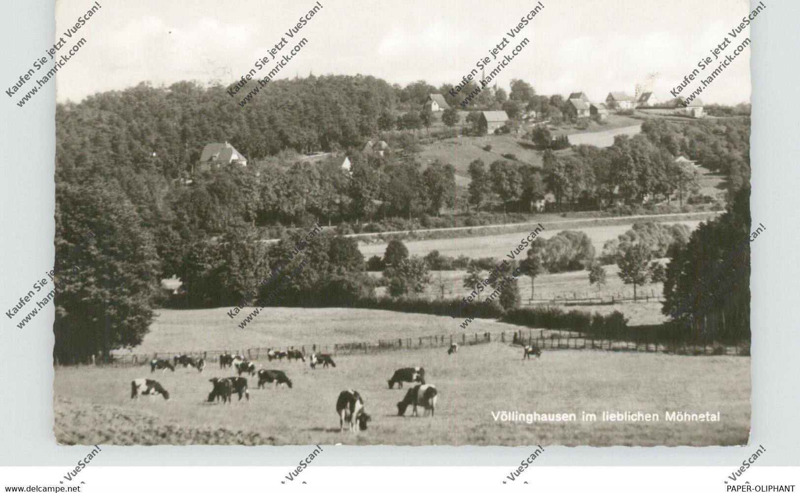 4773 MÖHNESEE - VÖLLINGHAUSEN, Dorfansicht 1961 - Möhnetalsperre