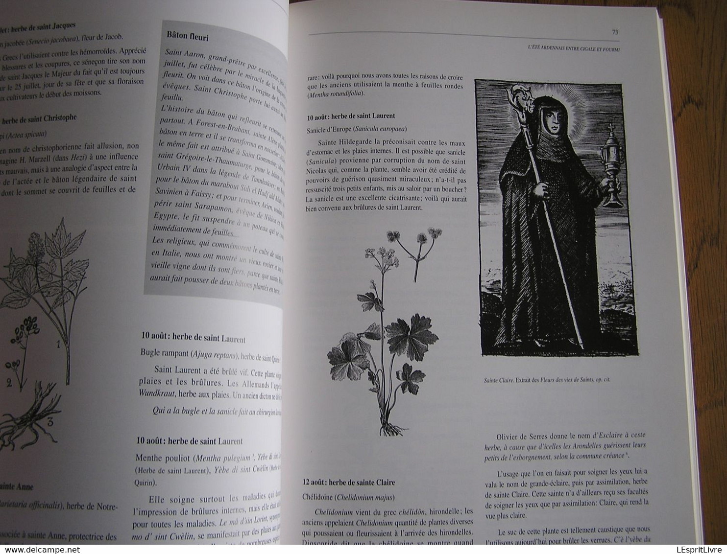 L' ALMANACH DES VIEUX ARDENNAIS Traditions Saints de l' été Régionalisme Semois Gaume Ardenne Bohan Cugnon Vresse Herbe