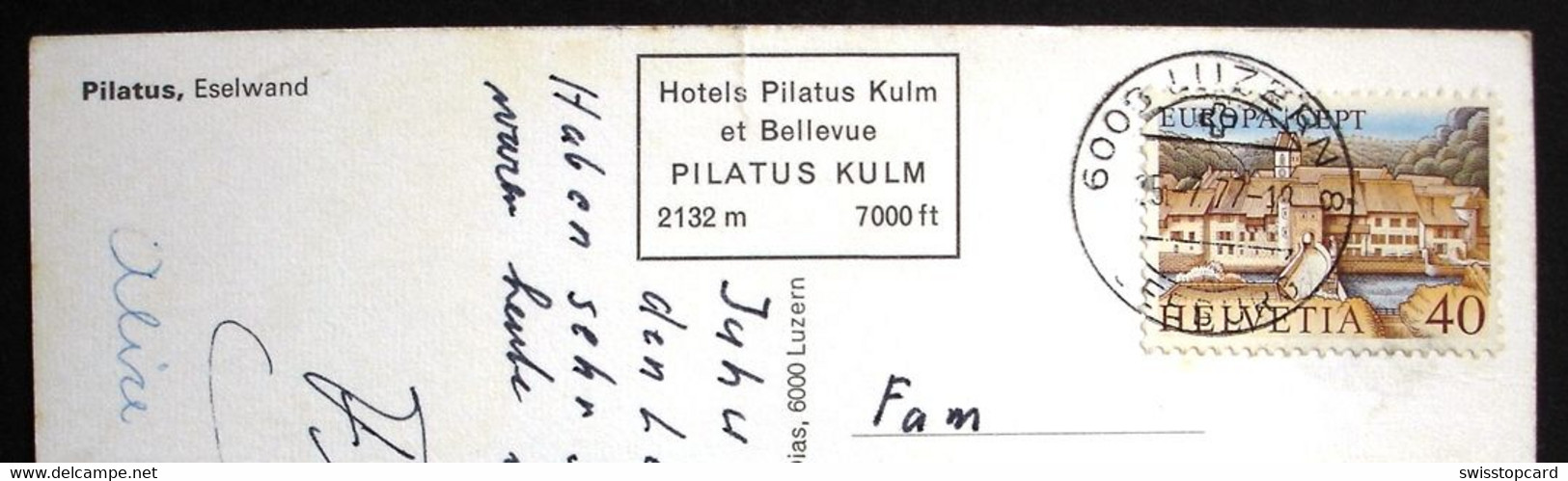 PILATUS-BAHN Kühe - Other & Unclassified