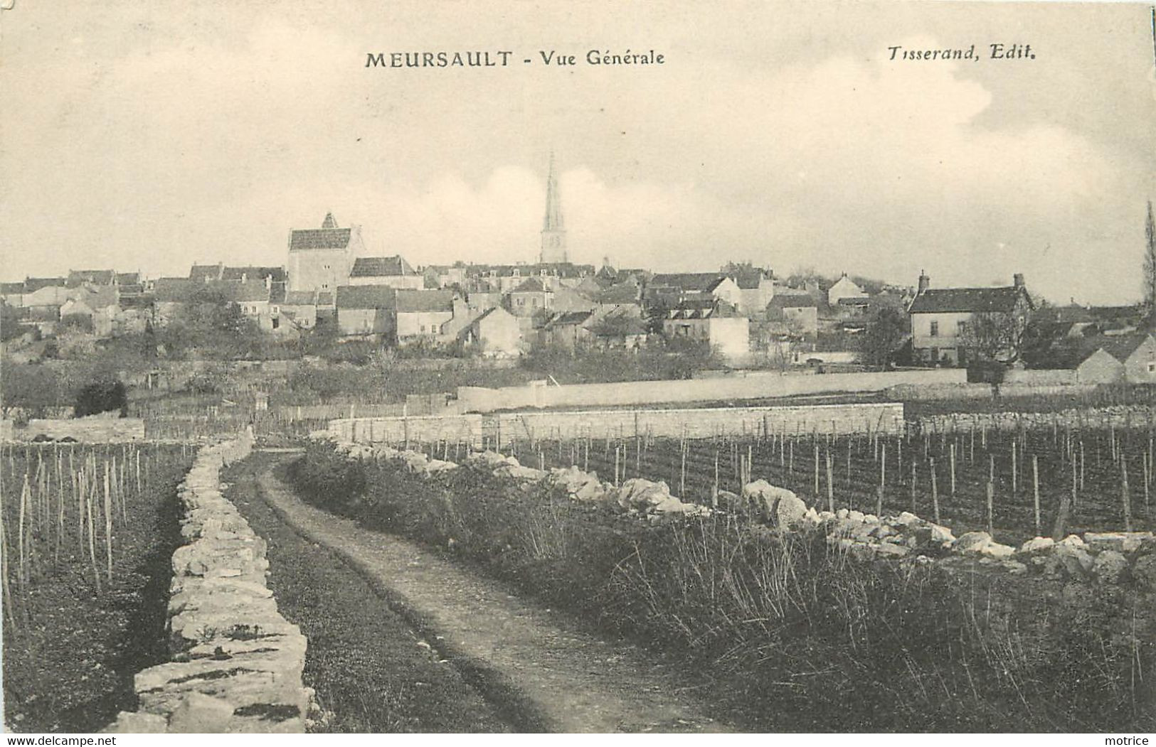 MEURSAULT - Vue Générale. - Meursault