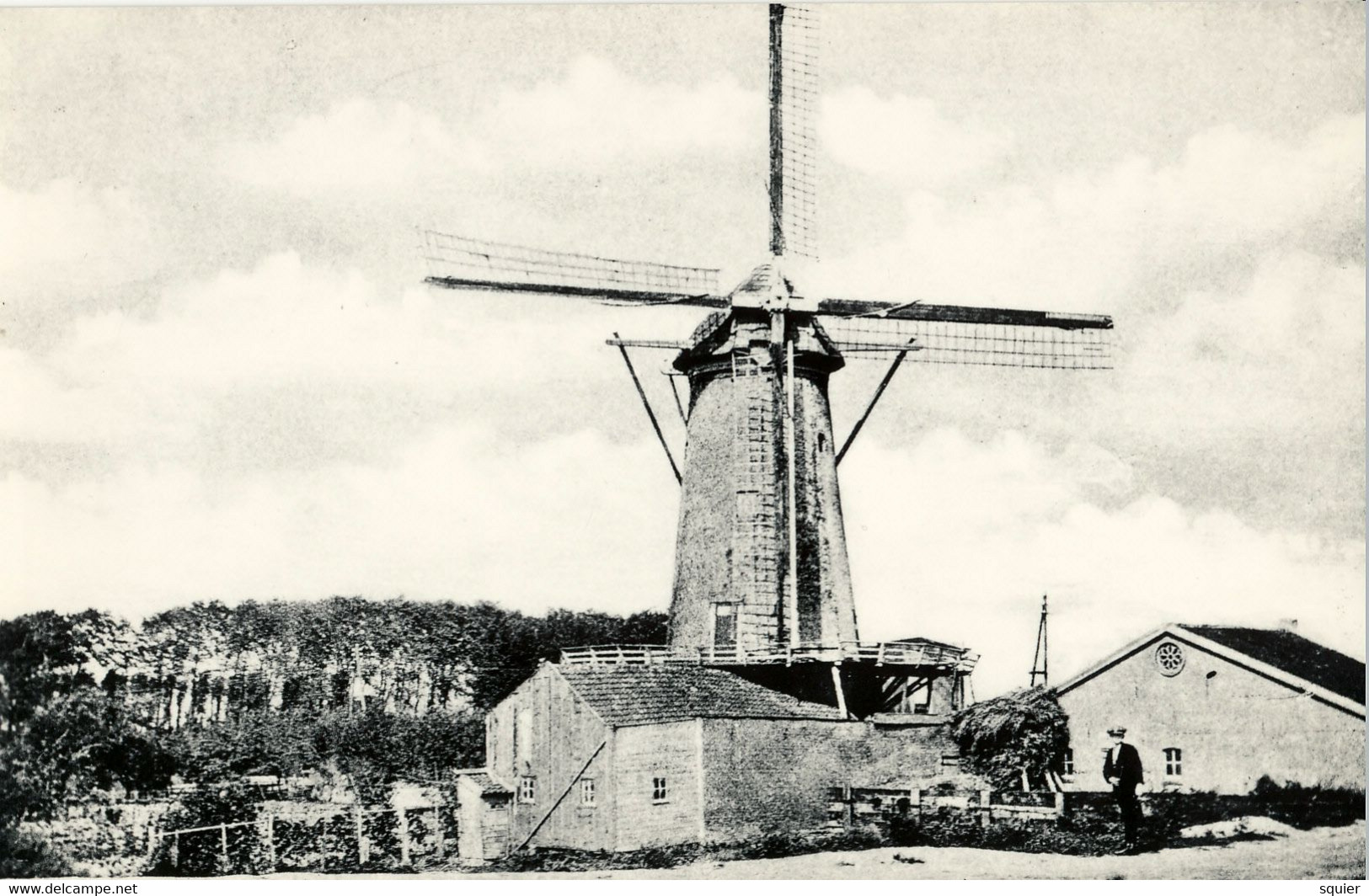 Korenmolen, De Arend, Maassluis, Real Photo - Maassluis