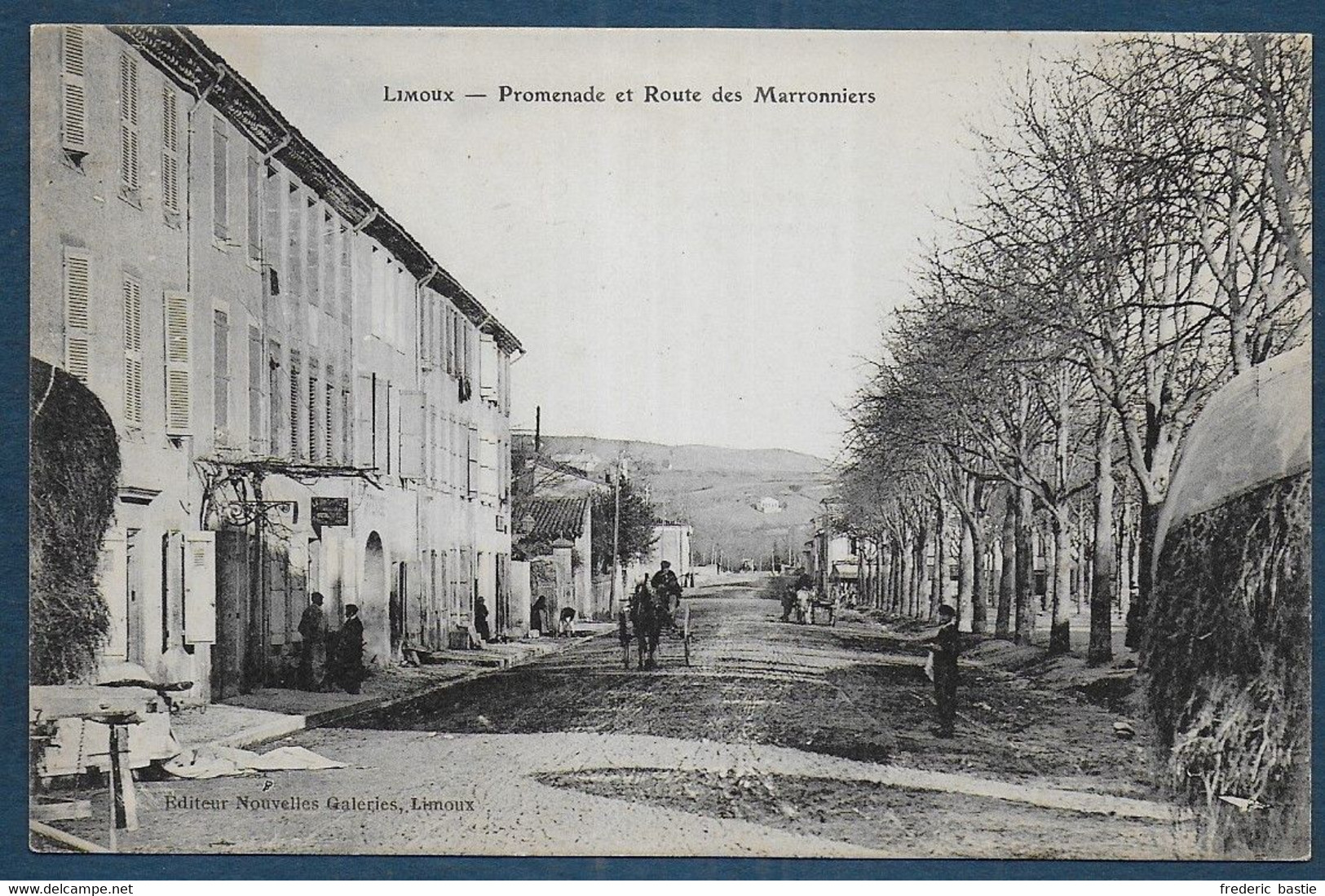 LIMOUX - Promenade Et Route Des Marronniers - Limoux