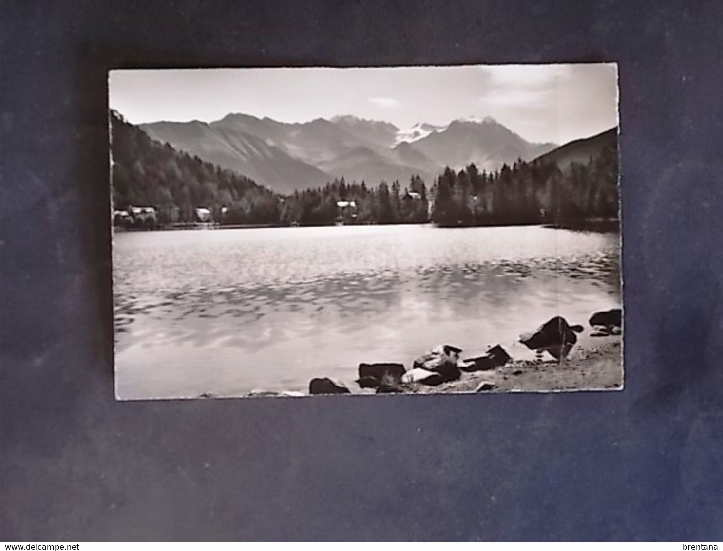 SVIZZERA -SUISSE -LAC DE CHAMPEUX VALAIS -F.P. LOTTO N°763 - Cham