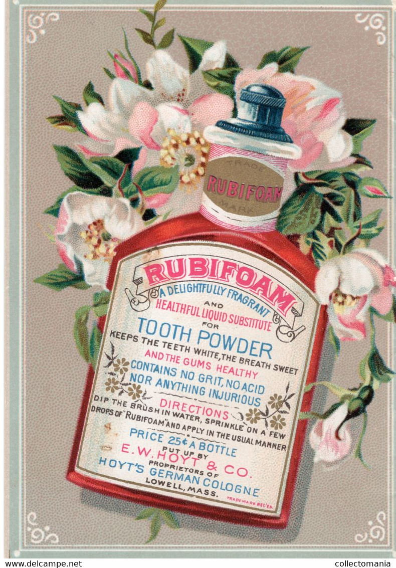 1 Carnet Booklet  The Teeth  E.W.Hoyt  & C° 1891 Rubifoam Tooth Powder Dentist Dentifrice - Vintage (until 1960)
