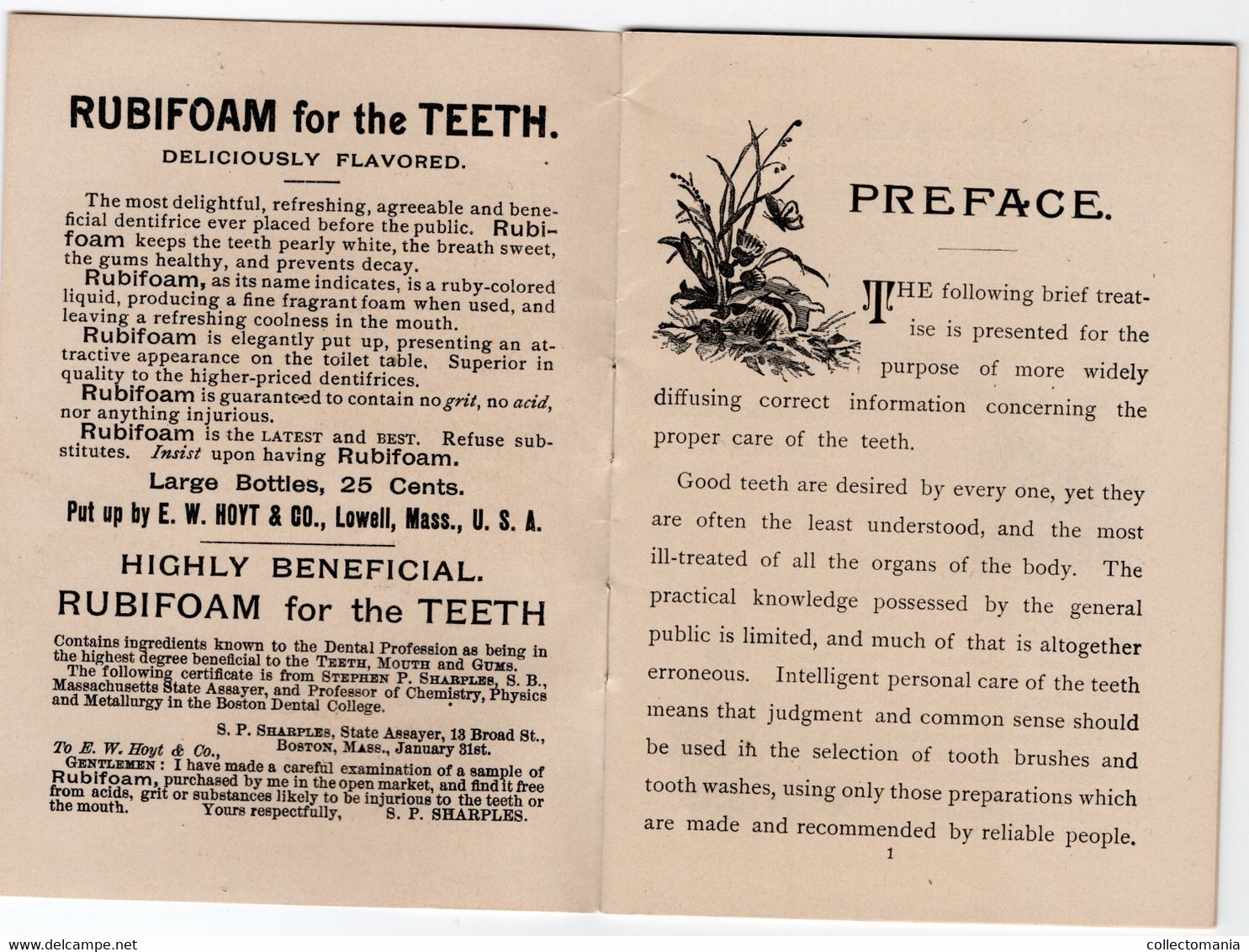 1 Carnet Booklet  The Teeth  E.W.Hoyt  & C° 1891 Rubifoam Tooth Powder Dentist Dentifrice - Profumeria Antica (fino Al 1960)
