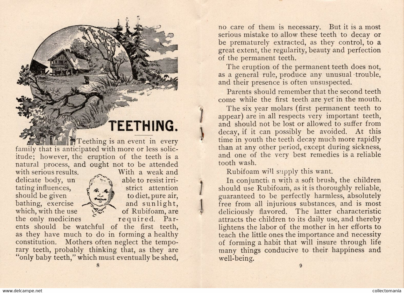 1 Carnet Booklet  The Teeth  E.W.Hoyt  & C° 1891 Rubifoam Tooth Powder Dentist Dentifrice