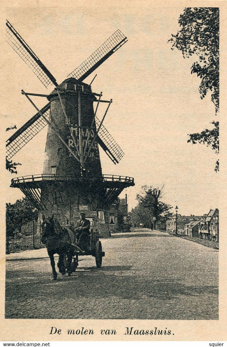 Korenmolen, De Hoop, Maassluis, Molen Aan Den Zuiddijk,Paard En Wagen, Maas Rijwielen - Maassluis