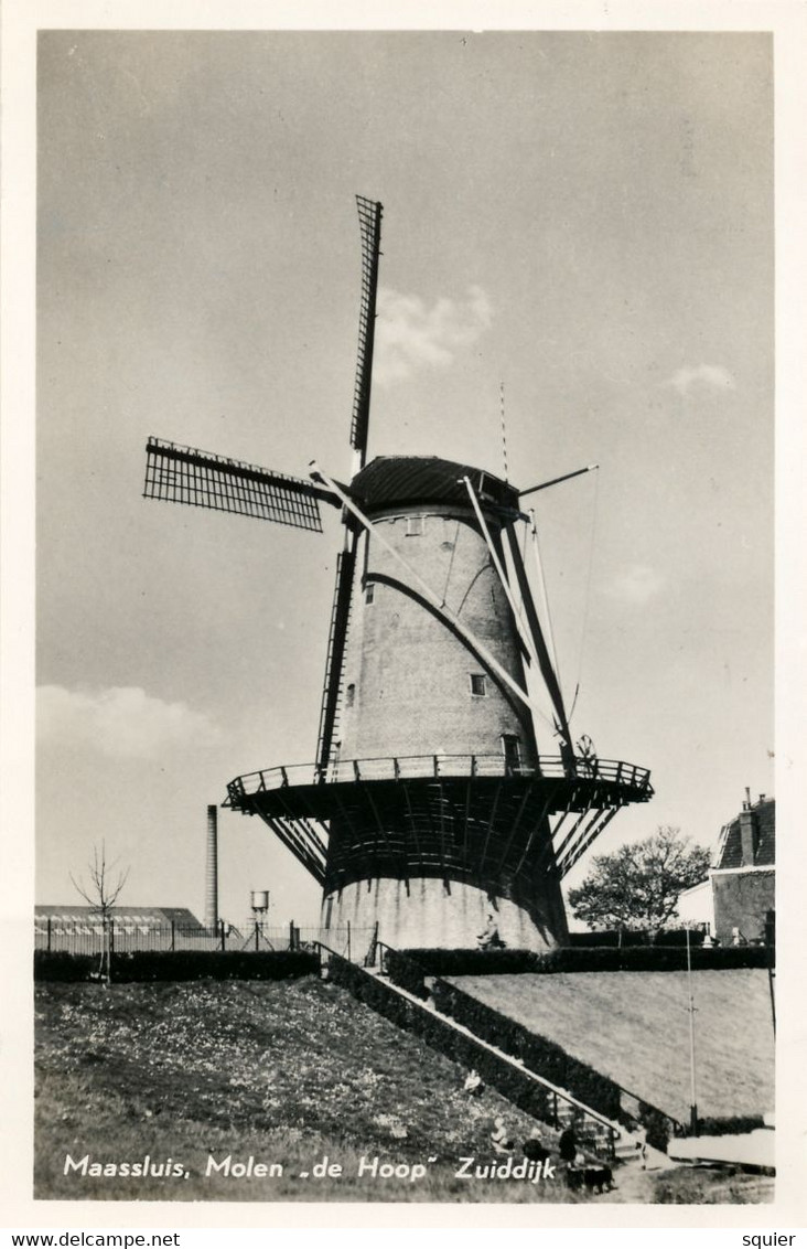 Korenmolen, De Hoop, Maassluis, Molen Aan Den Zuiddijk, Real Photo - Maassluis