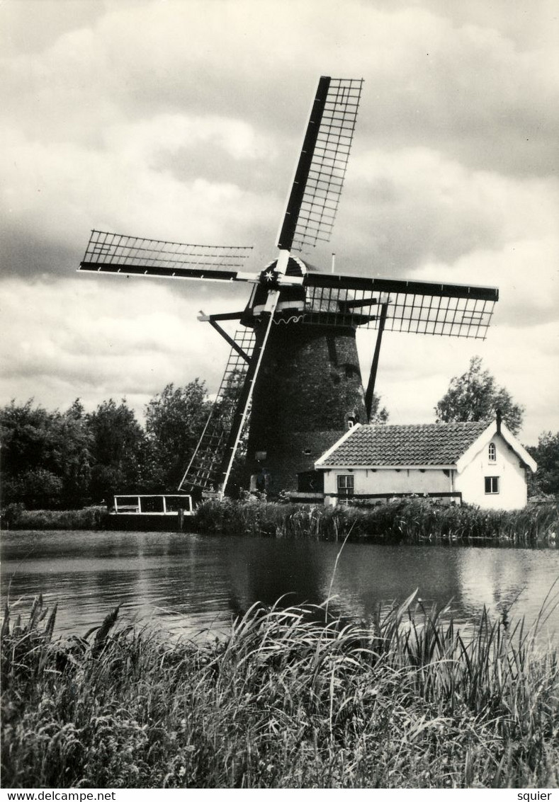 Sluispolder, Wippersmolen, Maassluis, Poldermolen, Real Photo - Maassluis