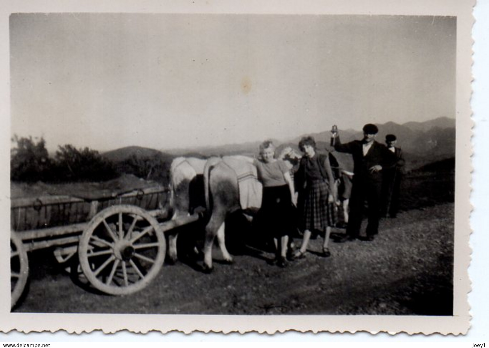 Photo  Attelage Avec Boeufs Bagnères De Bigorre 1950, Format 9/6 - Anonymous Persons