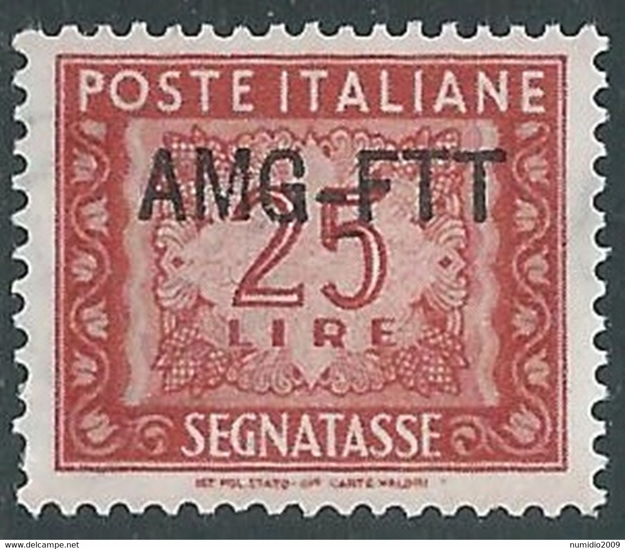 1949-54 TRIESTE A SEGNATASSE 25 LIRE MNH ** - RE11-5 - Taxe