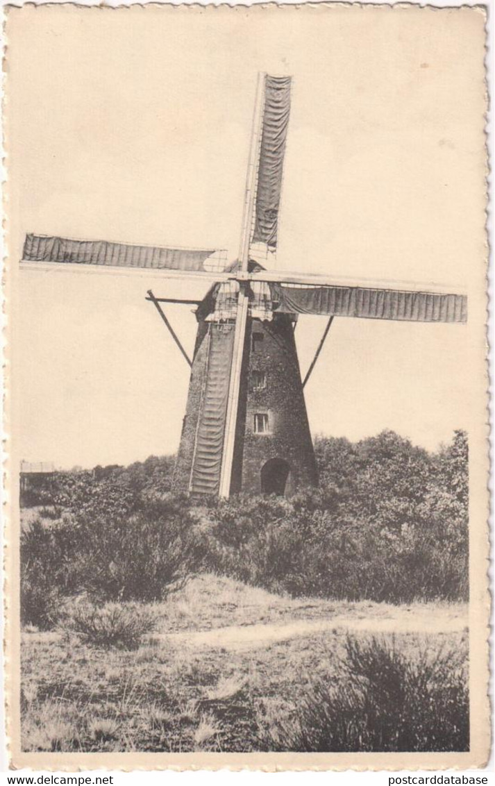 Kasterlee - Zwarte Molen Kleinrees - & Windmill - Kasterlee