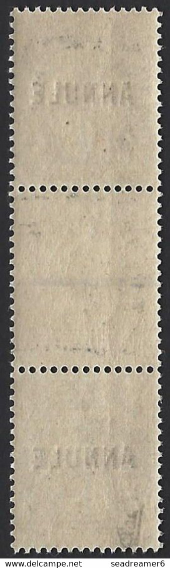 Cours D'instruction Type Blanc ANNULE N°107a CI-2** Paire Interpanneau Type 1a En Haut Et 1b En Bas RRR Signé Calves - 1900-29 Blanc