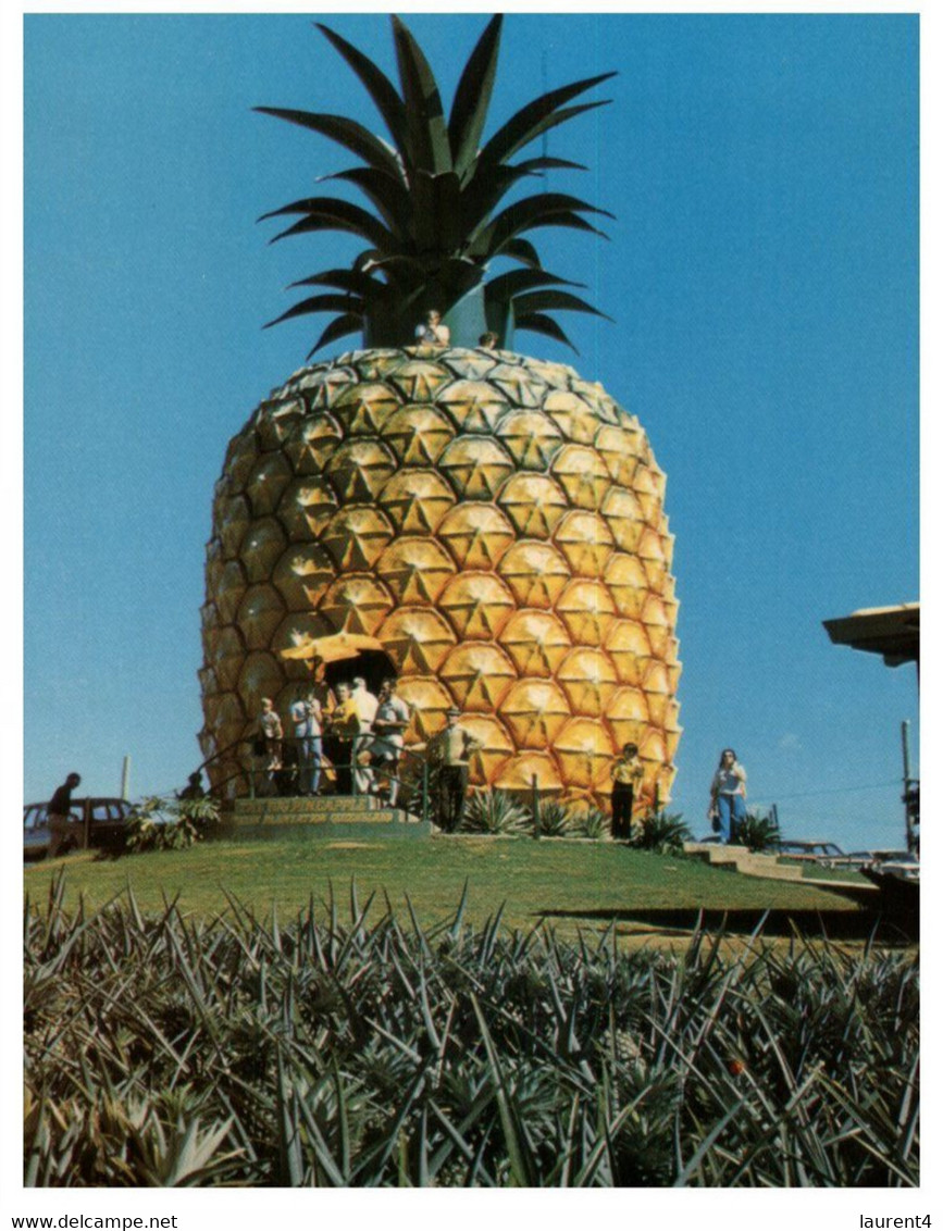 (MM 22) Australia - QLD - Big Pineapple Near Nambour - Sunshine Coast