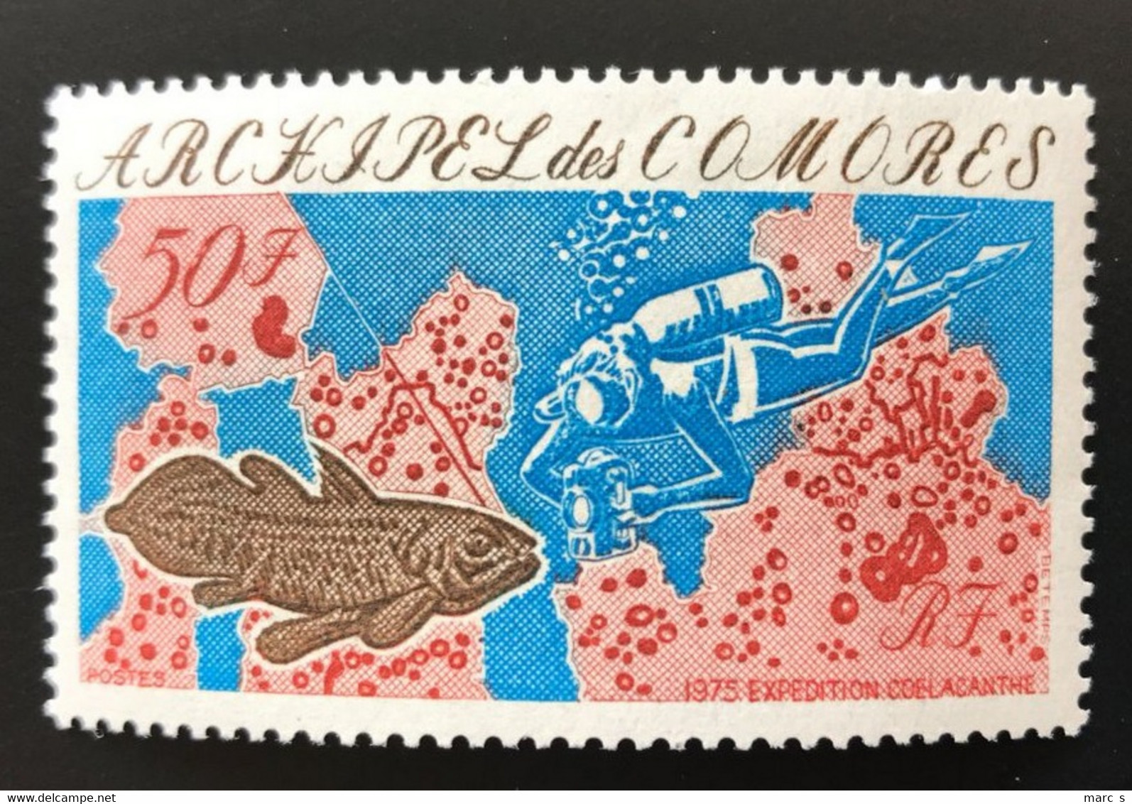 ARCHIPEL Des COMORES  1975 - NEUF**/MNH - LUXE YT 104 - COELACANTHE POISSON PECHE SOUS MARINE - Nuovi