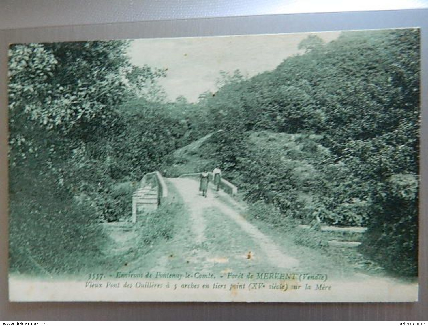 ENVIRONS DE FONTENAY LE COMTE                                  FORET DE MERVENT       VIEUX PONT DES OUILLERES - Saint Hilaire Des Loges