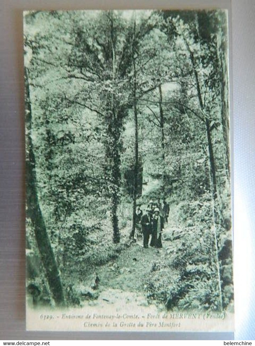 ENVIRONS DE FONTENAY LE COMTE                 FORET DE MERVENT      CHEMIN DE LA GROTTE DU PERE MONTFORT - Saint Hilaire Des Loges