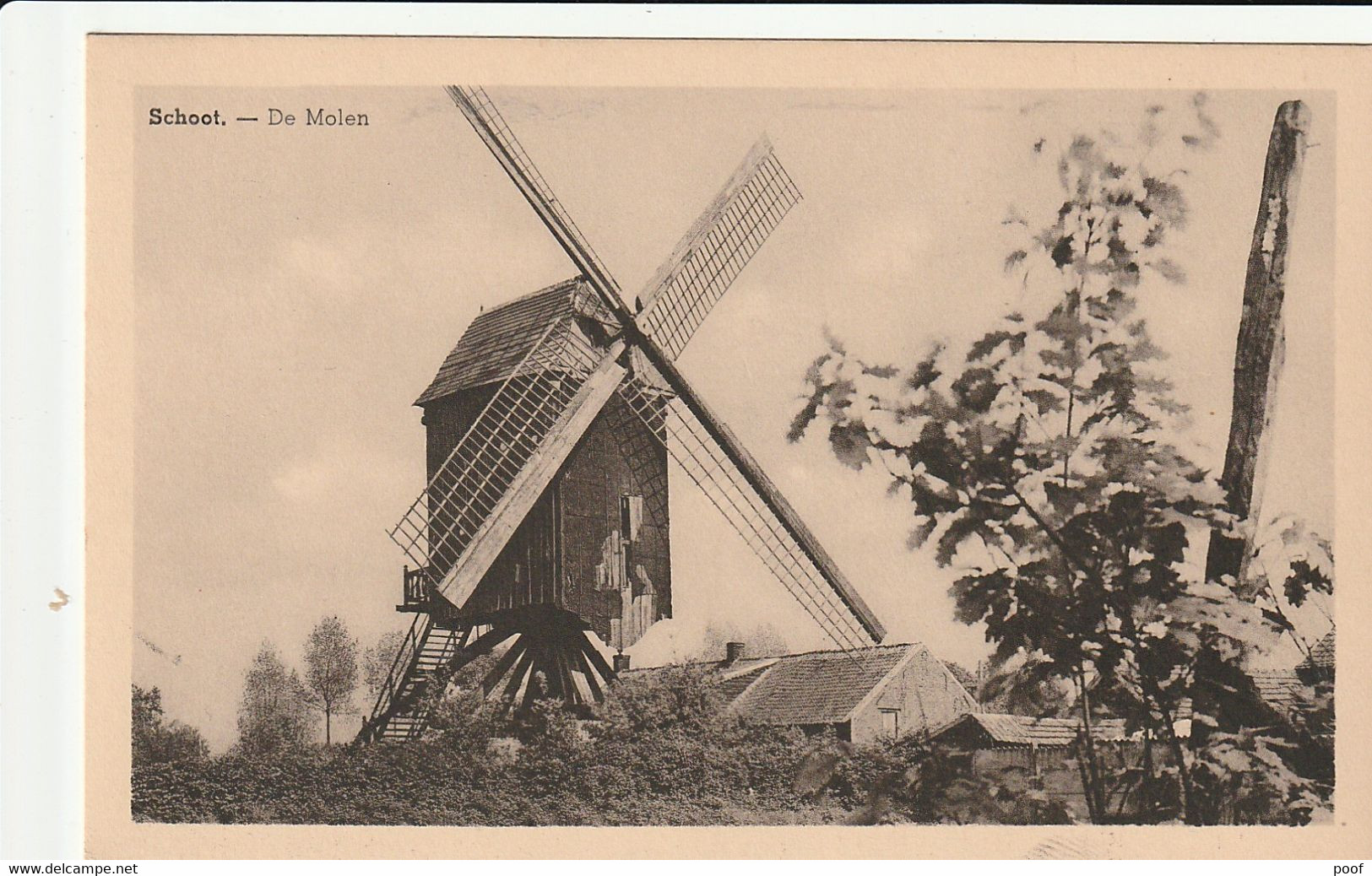 Schoot : De Molen - Tessenderlo