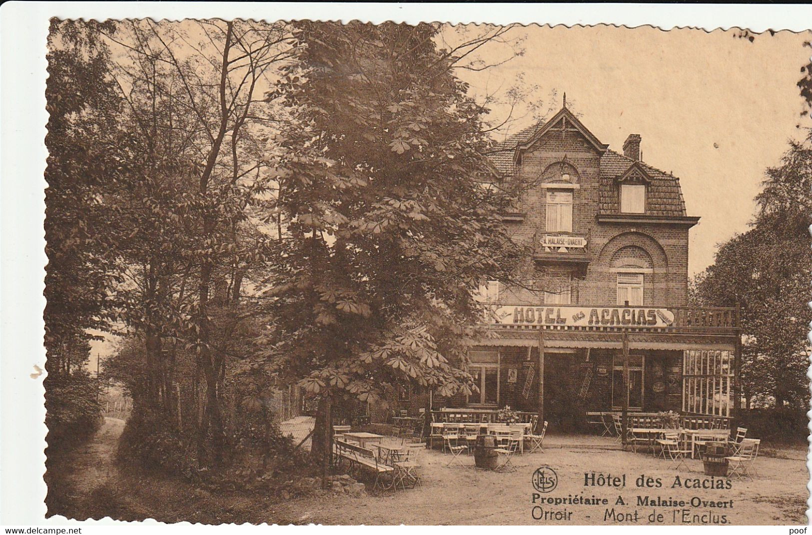 Orroir / Mont De L'Enclus : Hôtel Des Acacias - Kluisbergen