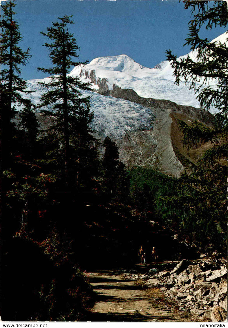 Bei Saas-Fee - Weg Nach Saas-Almagell (47915) - Saas-Almagell