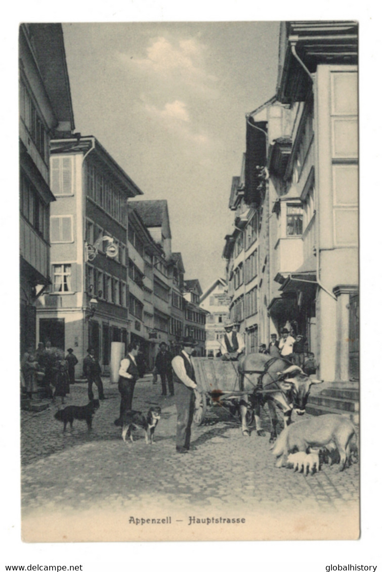 DG1496 - AI - APPENZELL - HAUPTSTRAßE Mit SCHWEIN, HUND Und STIER - Appenzell