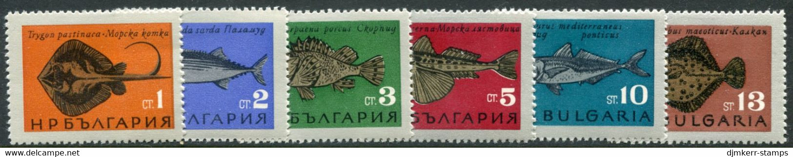 BULGARIA 1965 Fish LHM / *.  Michel 1542-47 - Unused Stamps