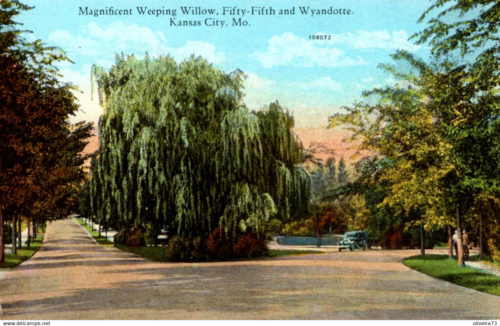 MAGNIFICENT WEEPING WILLOW, FIFTRY-FIFTH AND WYANDOTTE - KANSAS CITY, MO - Kansas City – Missouri