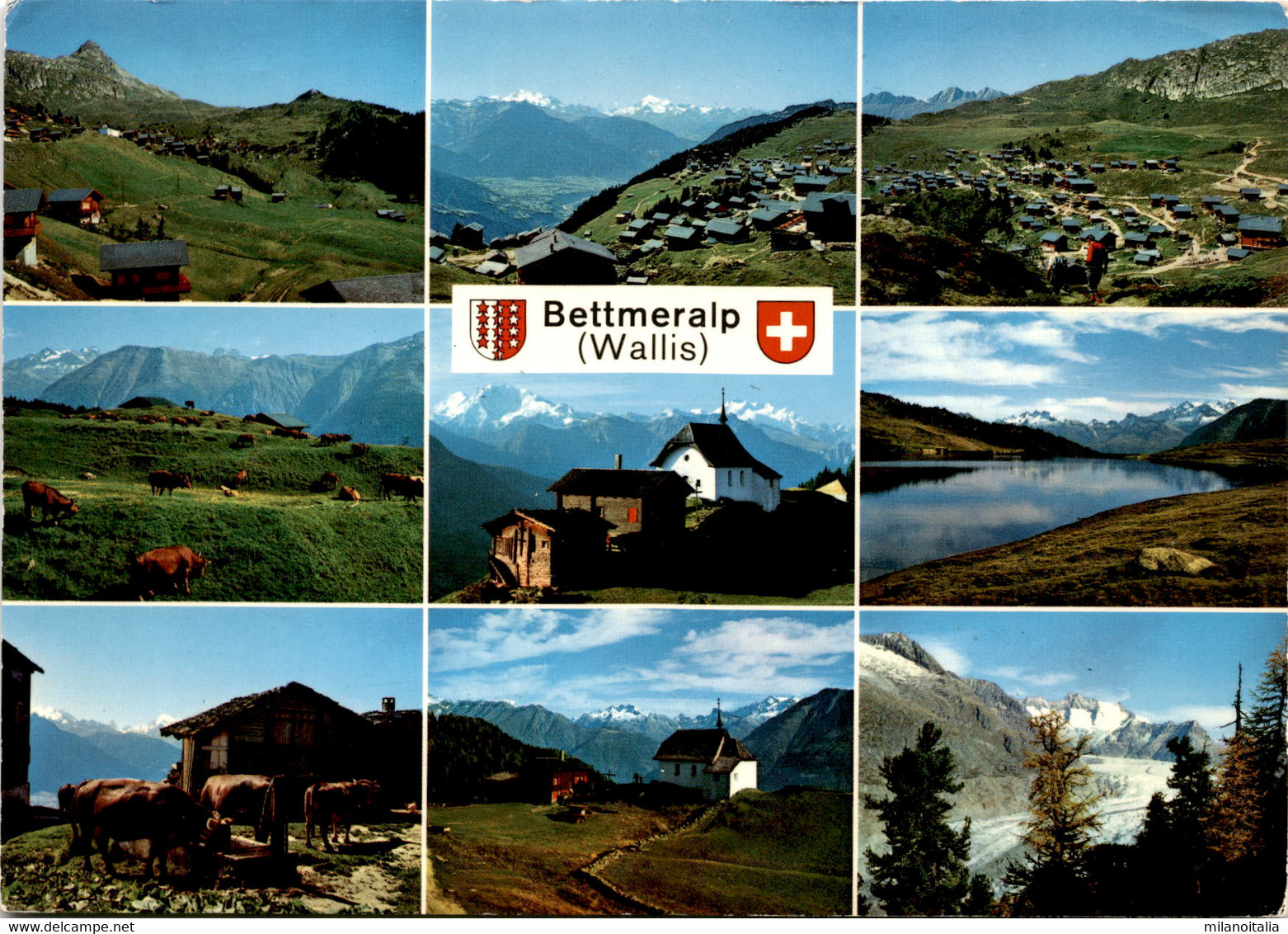 Bettmeralp (Wallis) - 9 Bilder (18656) * 7. 8. 1972 - Bettmeralp