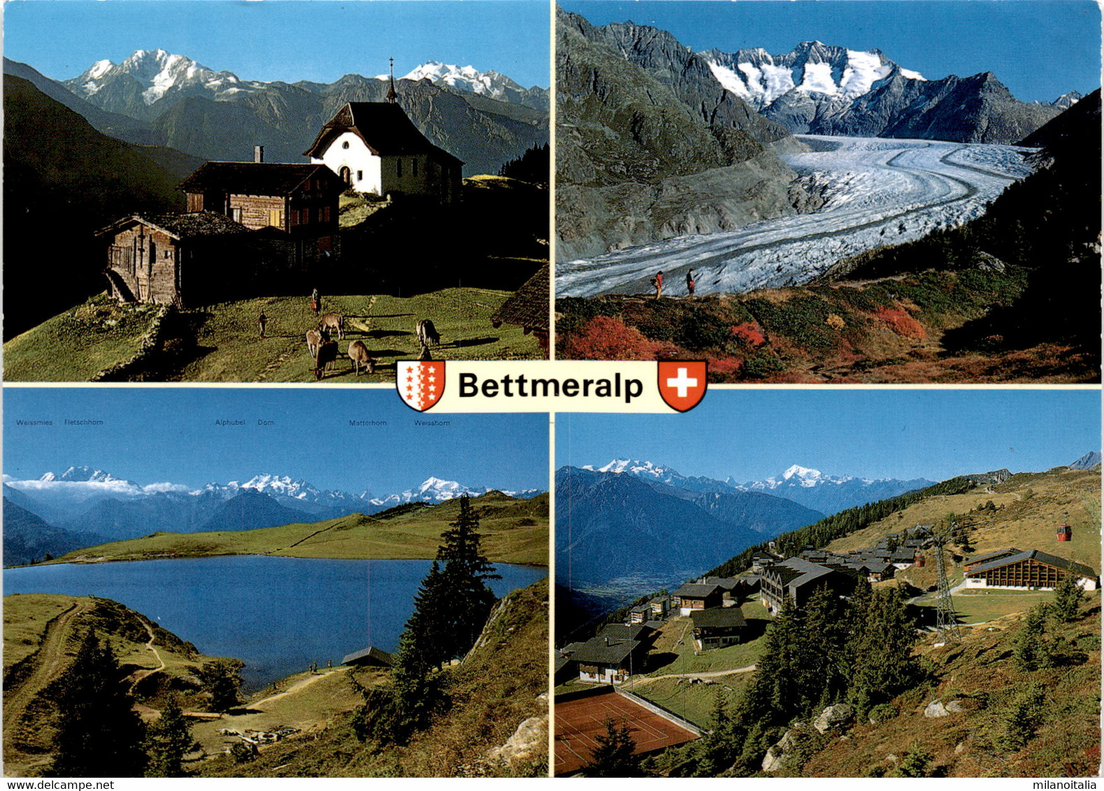 Bettmeralp - 4 Bilder (44915) * 4. 6. 1996 - Bettmeralp