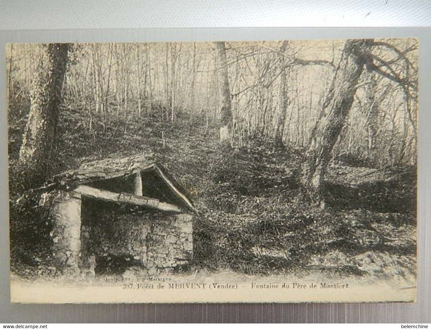 FORET DE MERVENT                    FONTAINE DU PERE DE MONTFORT - Saint Hilaire Des Loges