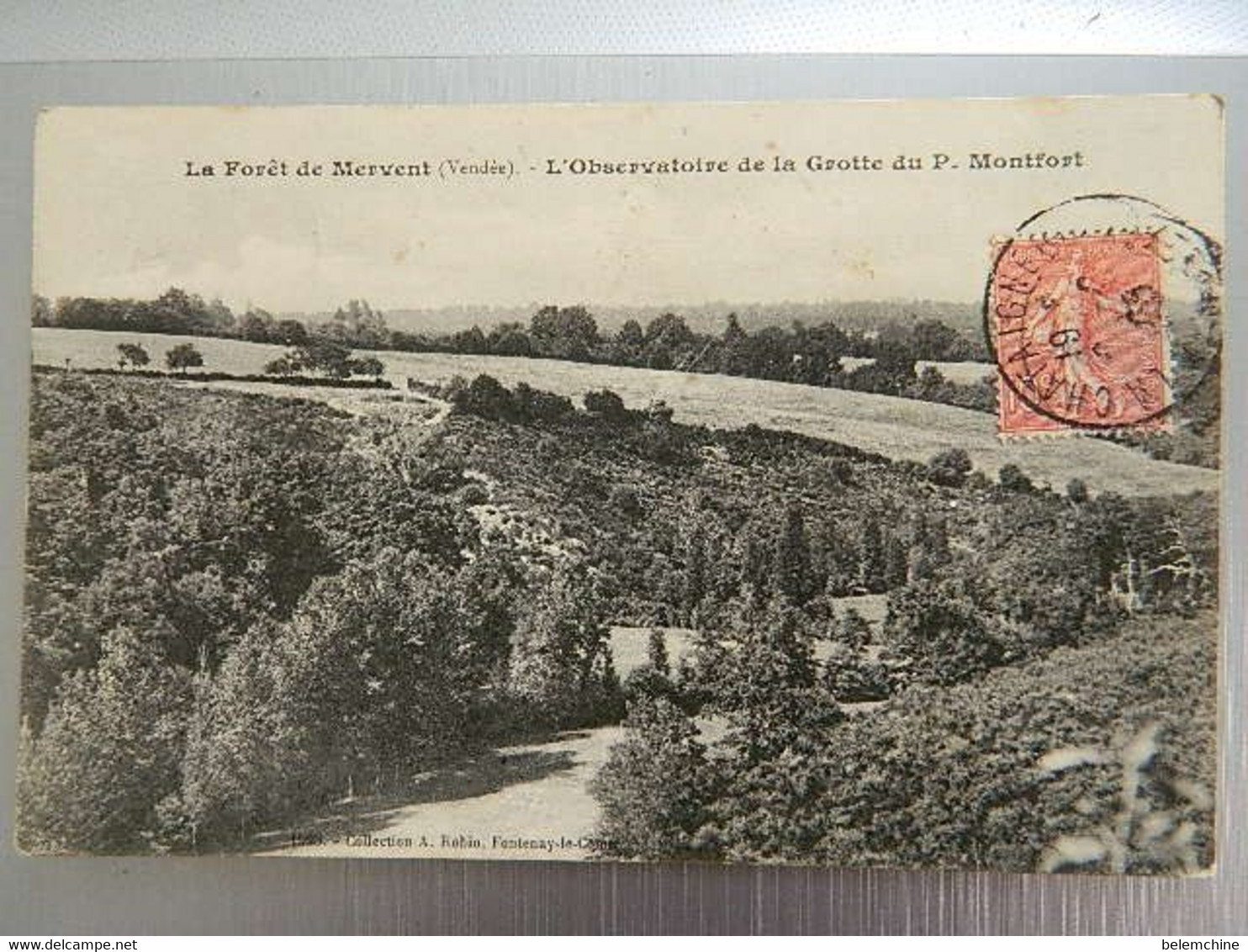 LA FORET DE MERVENT                    L'OBSERVATOIRE DE LA GROTTE DU P. MONTFORT - Saint Hilaire Des Loges