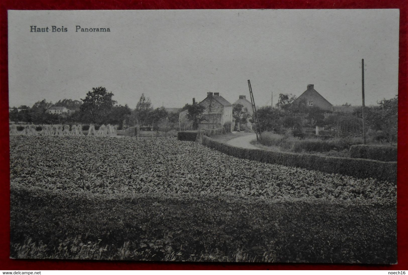 CPA Haut Bois, Haltinne / Gesves - Panorama - Gesves