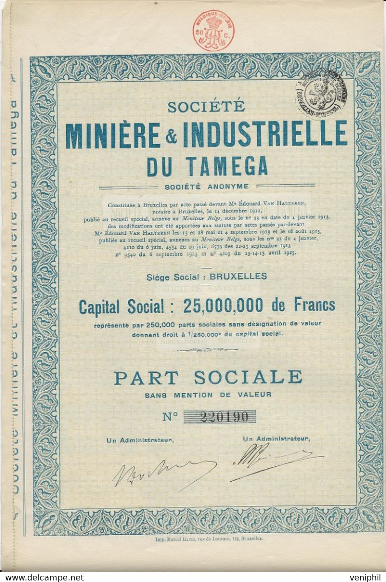 SOCIETE MINIERE ET INDUSTRIELLE DU TAMEGA (PORTUGAL) PART SOCIALE - ANNEE 1925 - Mineral