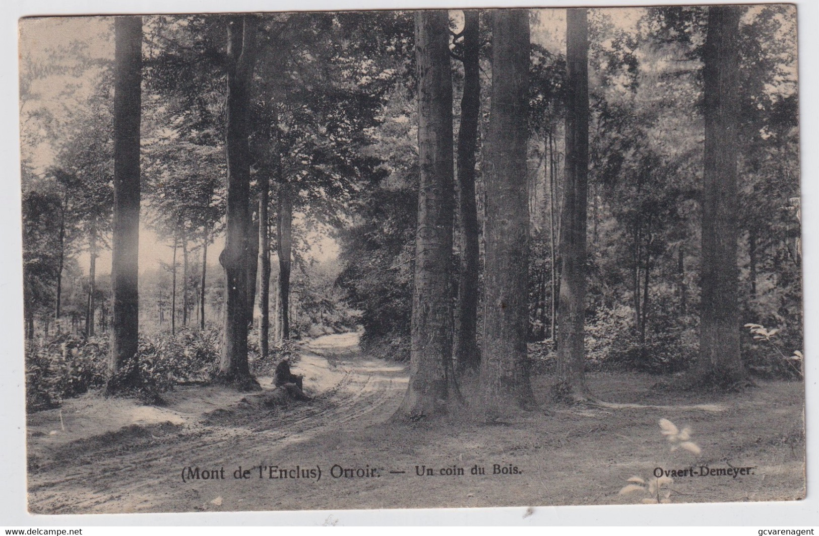 MONT DE L'ENCLUS  ORROIR   UN COIN DU BOIS - Kluisbergen