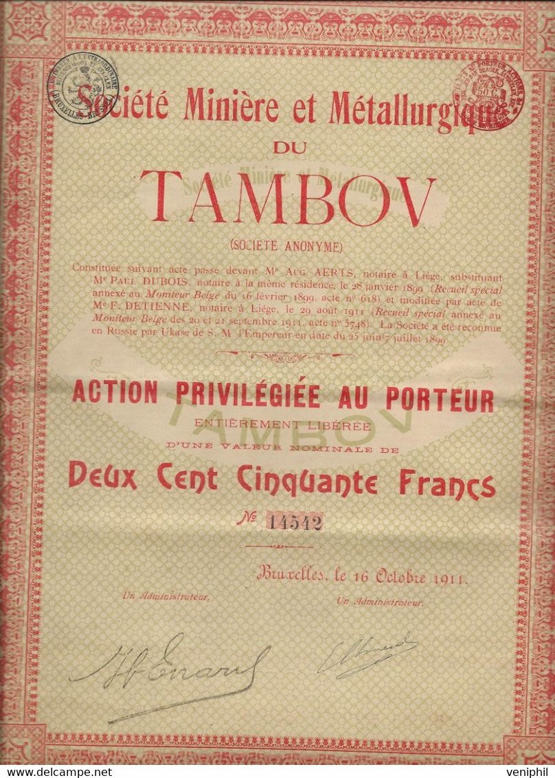 SOCIETE MINIERE ET METALLURGIQUE DU TAMBOV -RUSSIE - ACTION PRIVILEGIE DE 250 FRS - ANNEE 1911 - Miniere