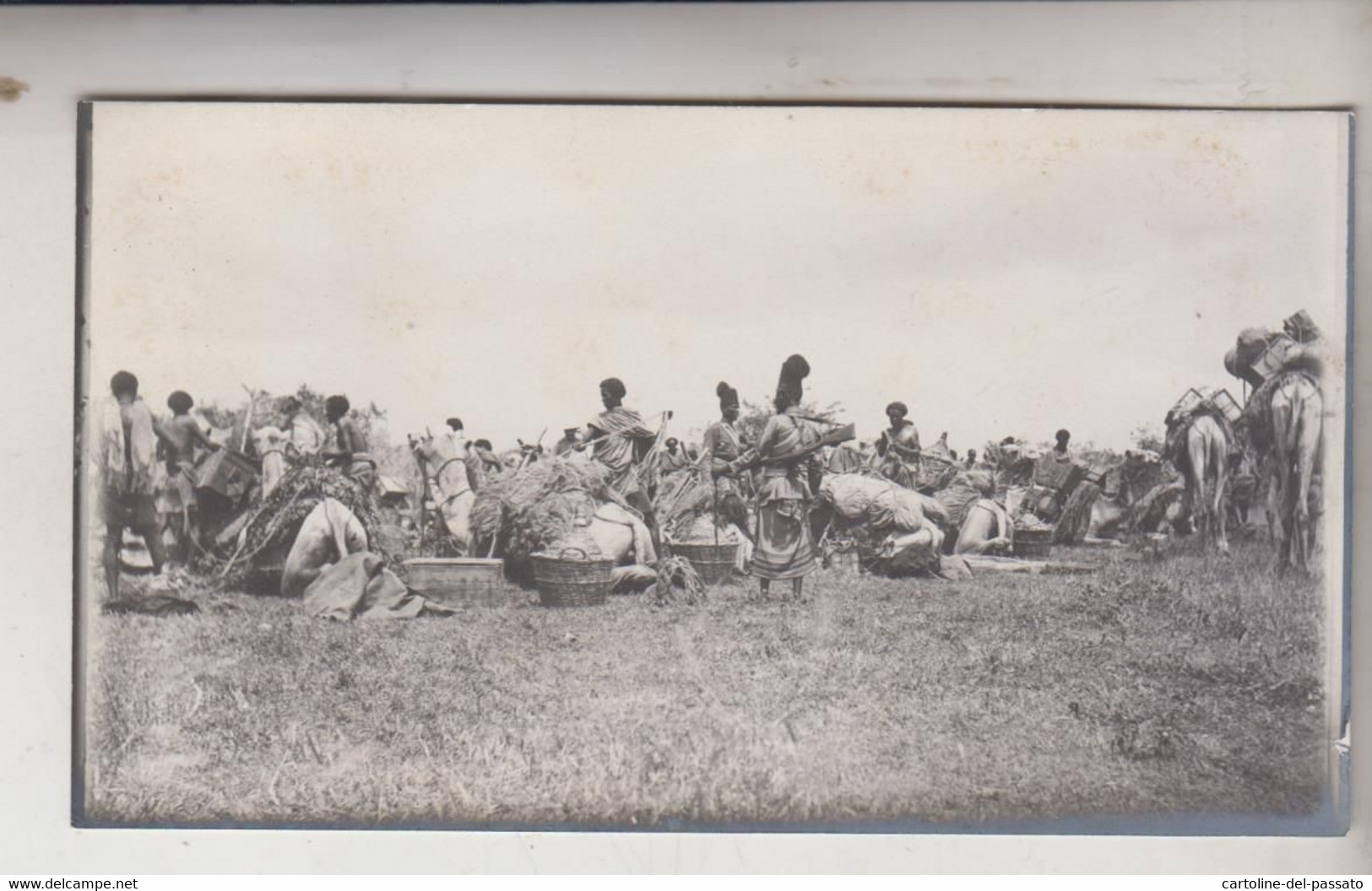 SOMALIA ITALIANA COLONIE BENADIR FOTOGRAFIA ORIGINALE 1913/1915 Artiglieria In Marcia BUR HACABA  CM 14 X 8 - War, Military