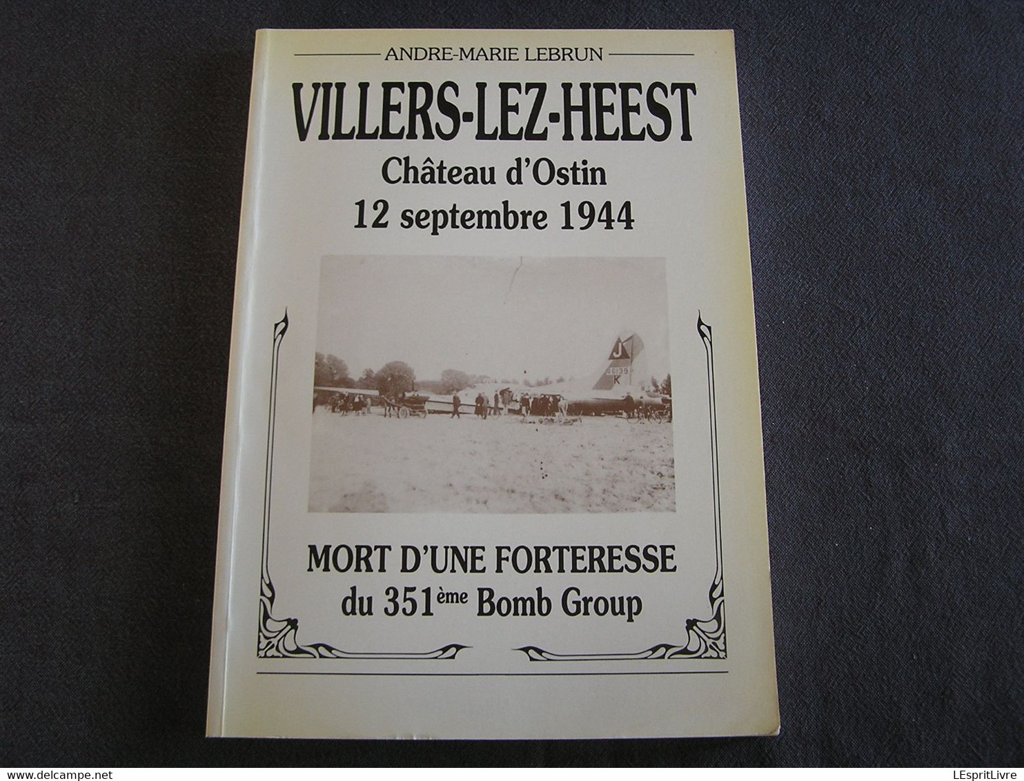 VILLERS LEZ HEEST Château D'Ostin 1944 Mort D'une Forteresse 351 è Guerre 40 45 Namur Réseau Comète Crash B 17 USAAF - Guerra 1939-45