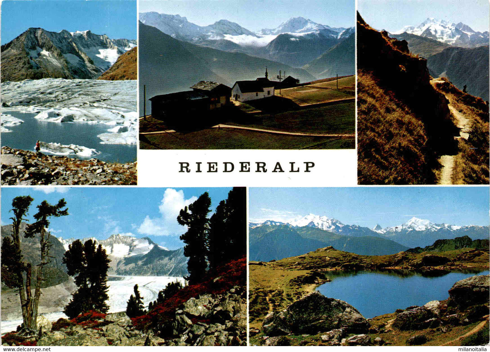 Riederalp - 5 Bilder (44900) - Riederalp