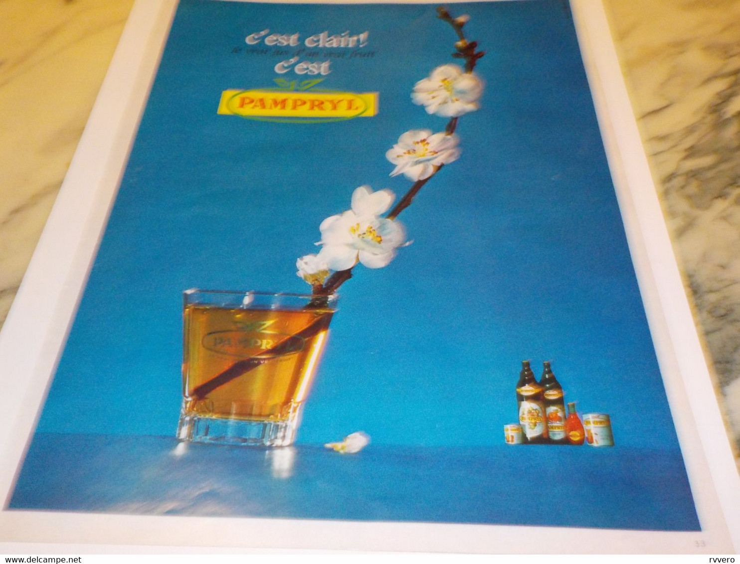 ANCIENNE PUBLICITE UN VRAI FRUIT JUS DE FRUIT PAMPRYL  1970 - Afiches