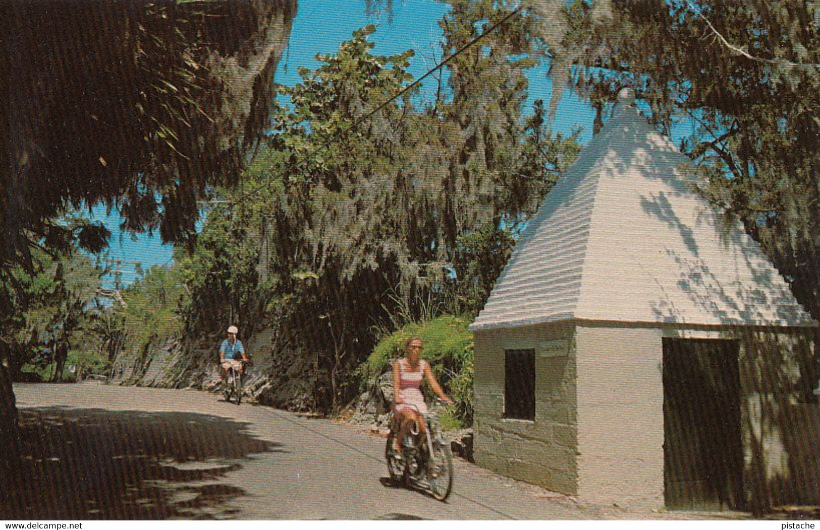 Bermuda - Bermudas - Country Lane - Spanish Moss - Bicycle - Unused - VG Condition - 2 Scans - Bermuda