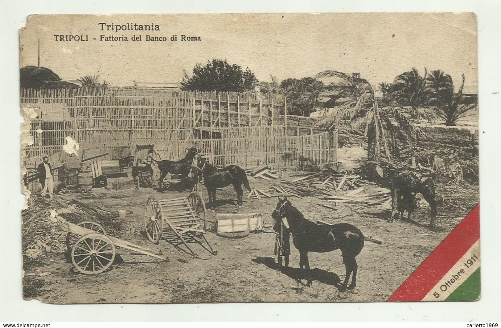 TRIPOLITANIA - TRIPOLI - FATTORIA DEL BANCO DI ROMA   VIAGGIATA   FP - Libye