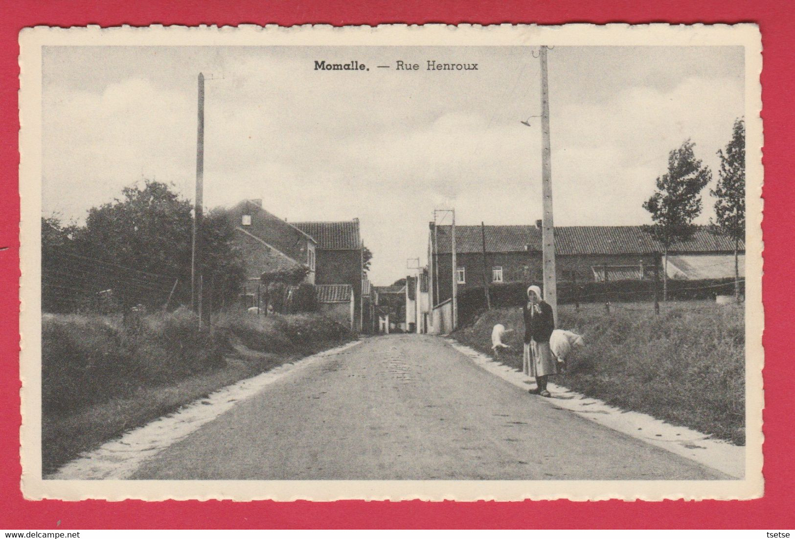 Momalle - Rue Henroux ...vieille Dame Et Ses Moutons ( Voir Verso ) - Remicourt