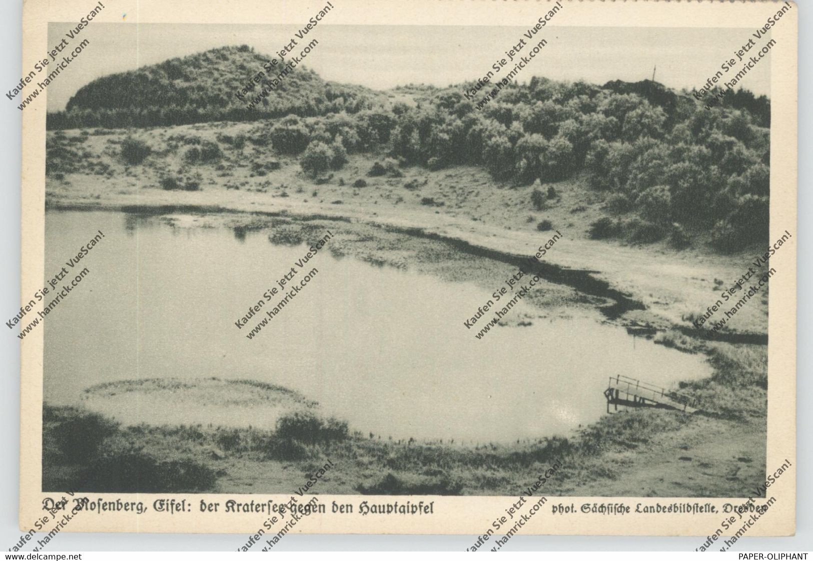 5561 BETTENFELD, Mosenberg, Kratersee, Leichter Eckknick - Wittlich