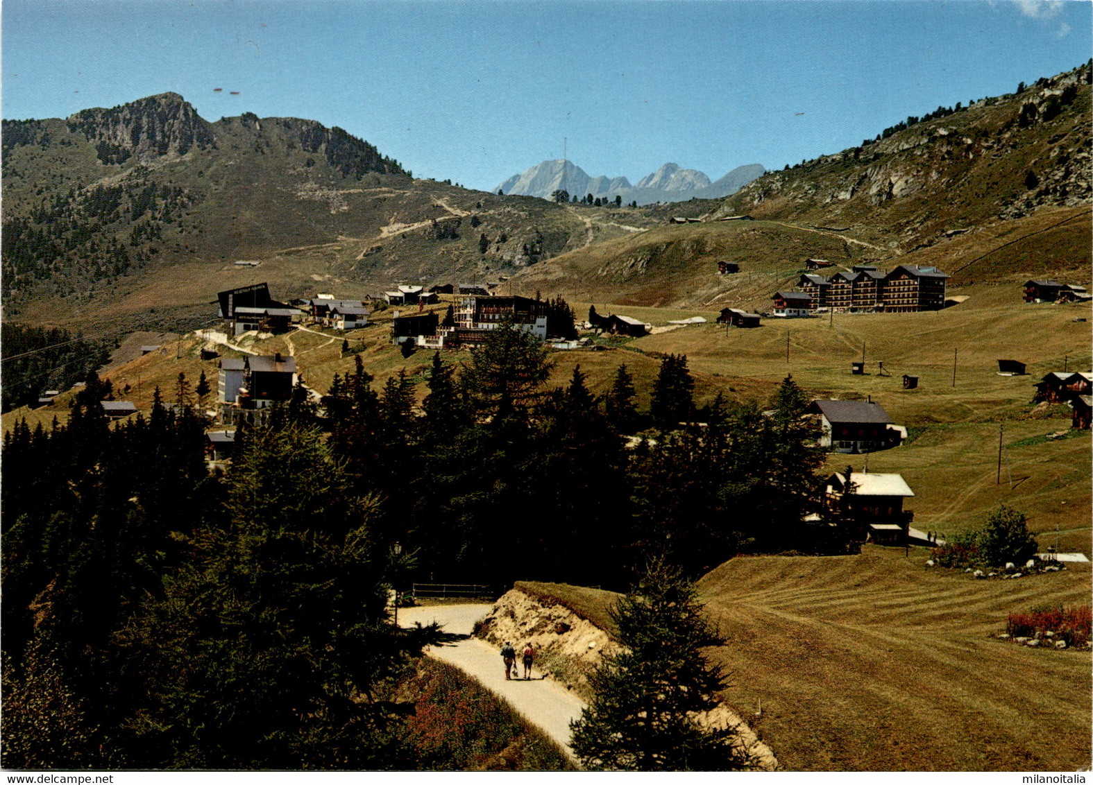 Riederalp (44629) - Riederalp